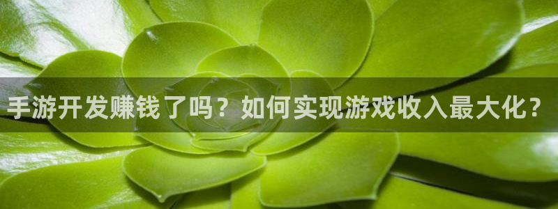 最新28大神预：手游开发赚钱了吗？如何实现游戏收入最大化？
