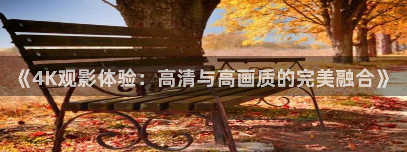 皮特影院黑狐：《4K观影体验：高清与高画质的完美融合》