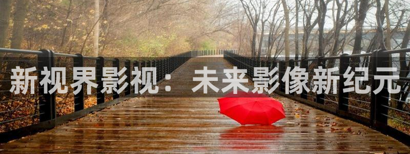 皮特私人影院：新视界影视：未来影像新纪元