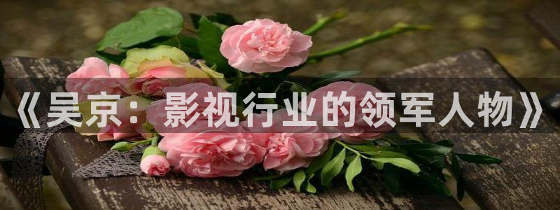 皮特电影皮特电影院：《吴京：影视行业的领军人物》