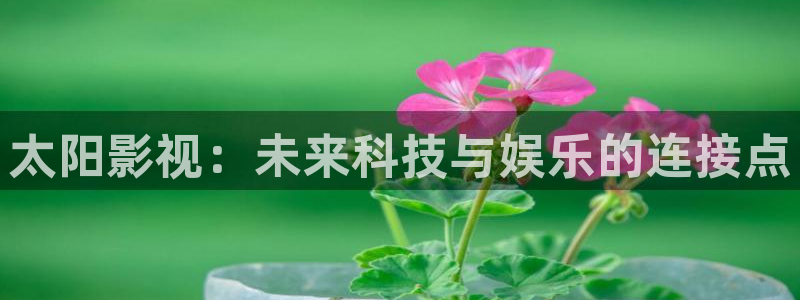 皮特影院蜜桃：太阳影视：未来科技与娱乐的连接点