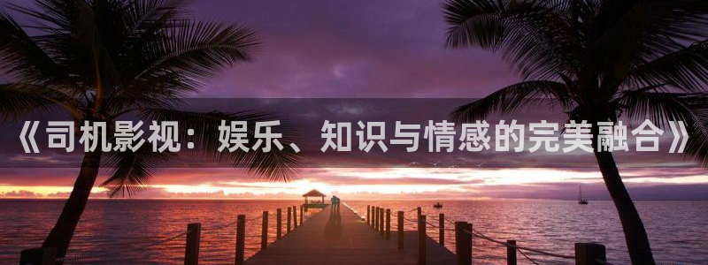 73皮特影院：《司机影视：娱乐、知识与情感的完美融合》