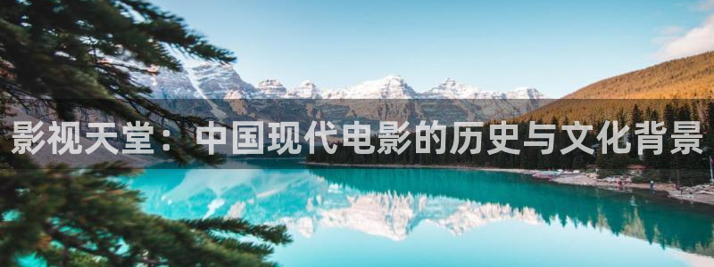 皮特电影的网站：影视天堂：中国现代电影的历史与文化背景