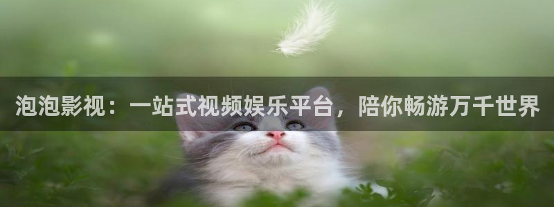 电影皮特：泡泡影视：一站式视频娱乐平台，陪你畅游万千世界