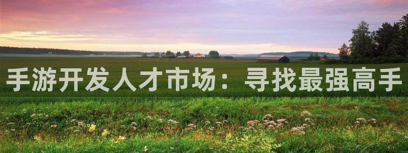 pc28大神苹果下载：手游开发人才市场：寻找最强高手