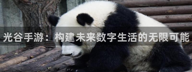 manbet软件：光谷手游：构建未来数字生活的无限可能