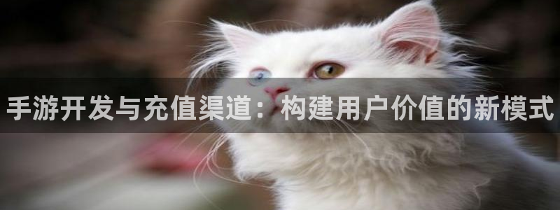 28大神老版本：手游开发与充值渠道：构建用户价值的新模式